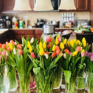 Meet your Posher, Laleh